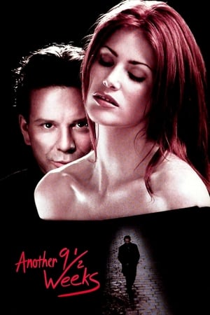 Another Nine And A Half Weeks 1997 [] Dual Audio 300MB