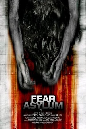 Room 33 (2009) Dual Audio | Dubbed Hindi Movie DVDRip 300MB