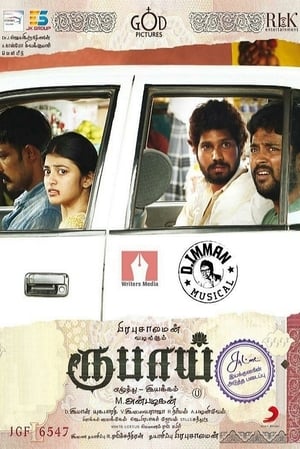 Rubaai (2017) Dual Audio | Dubbed Hindi Movie UnCut HDRip 400MB