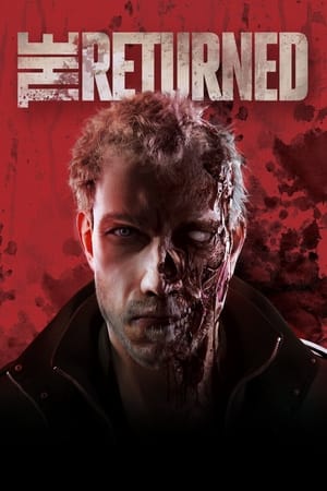 The Returned 2013 Dual Audio | Dubbed Hindi Movie BluRay 300MB